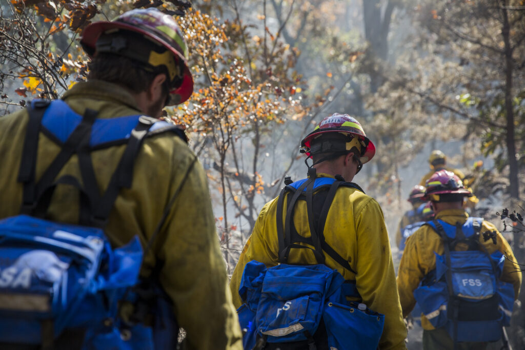 Line of wildland firefighters in PPE from behind