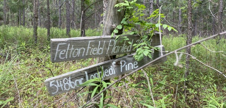 Felton Field Planted sign.