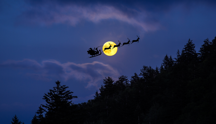Santa on sleigh flying. ‘Twas the Southern Forest Before Christmas.