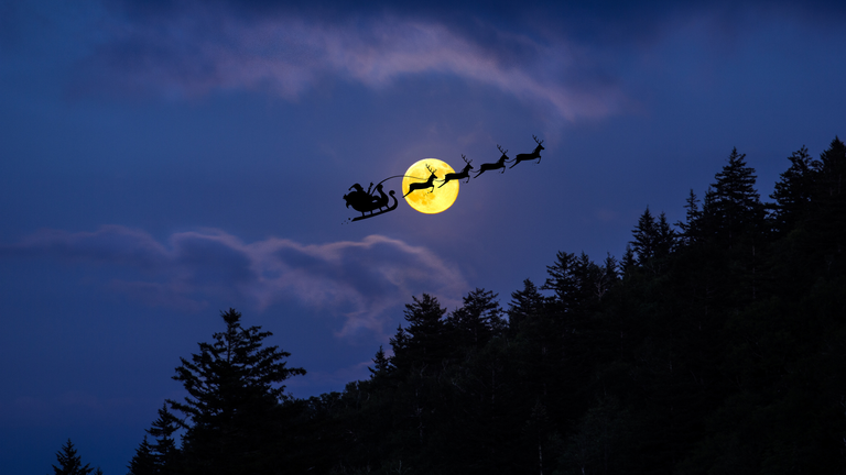 Santa on sleigh flying. ‘Twas the Southern Forest Before Christmas.