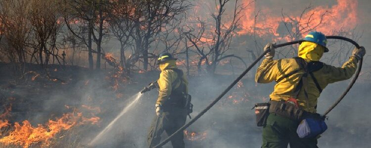 Firemen putting out fire.