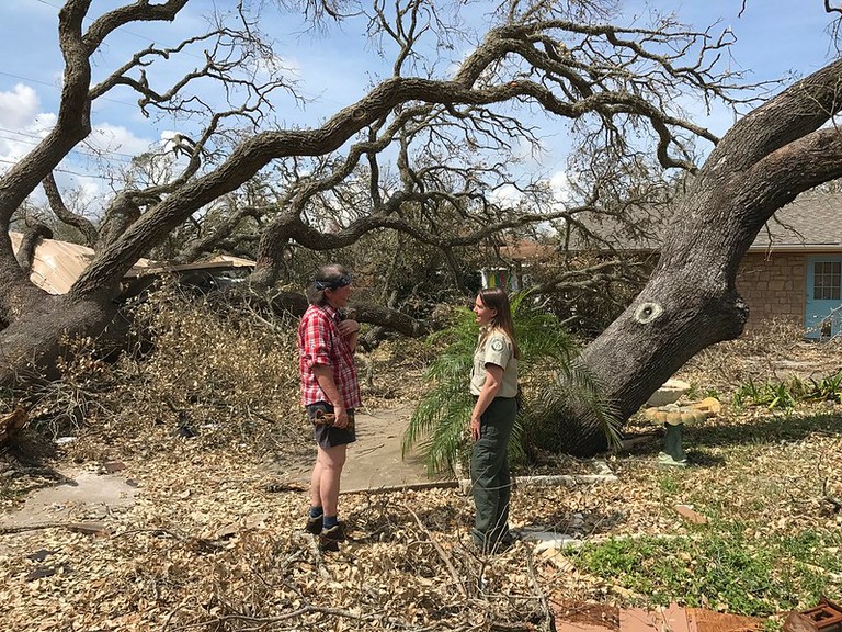 Man and ranger inspecting fallen tree.