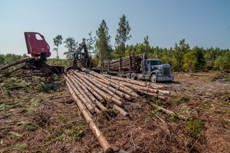 Lumber truck, being filled with lumber in the woods.