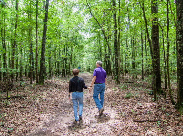 Couple walking in the woods.