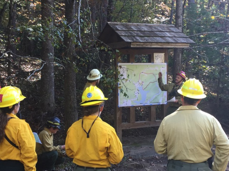 Female wildland firefighters coordinate prescribed fire operations while looking at a map at the edge of a forested area