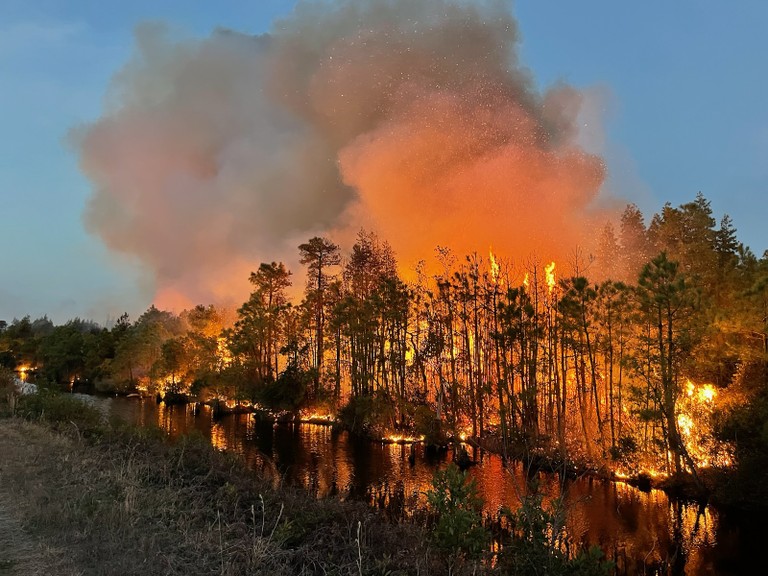 wildfire burning in pine trees against a natural fire break made by a waterway in the foreground
