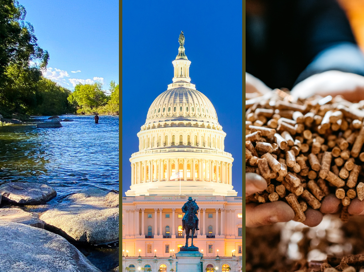 Three images: a river in Arkansas, the U.S. Capitol, and hands holding wood pellets