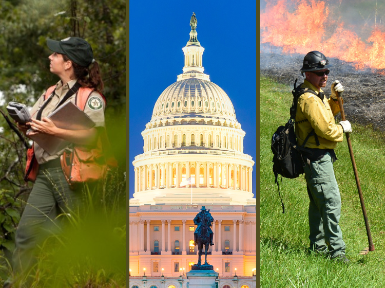 trio of photos: female forester examining tree, U.S. Capitol Building, Wildland firefighter moniitoring a prescribed burn