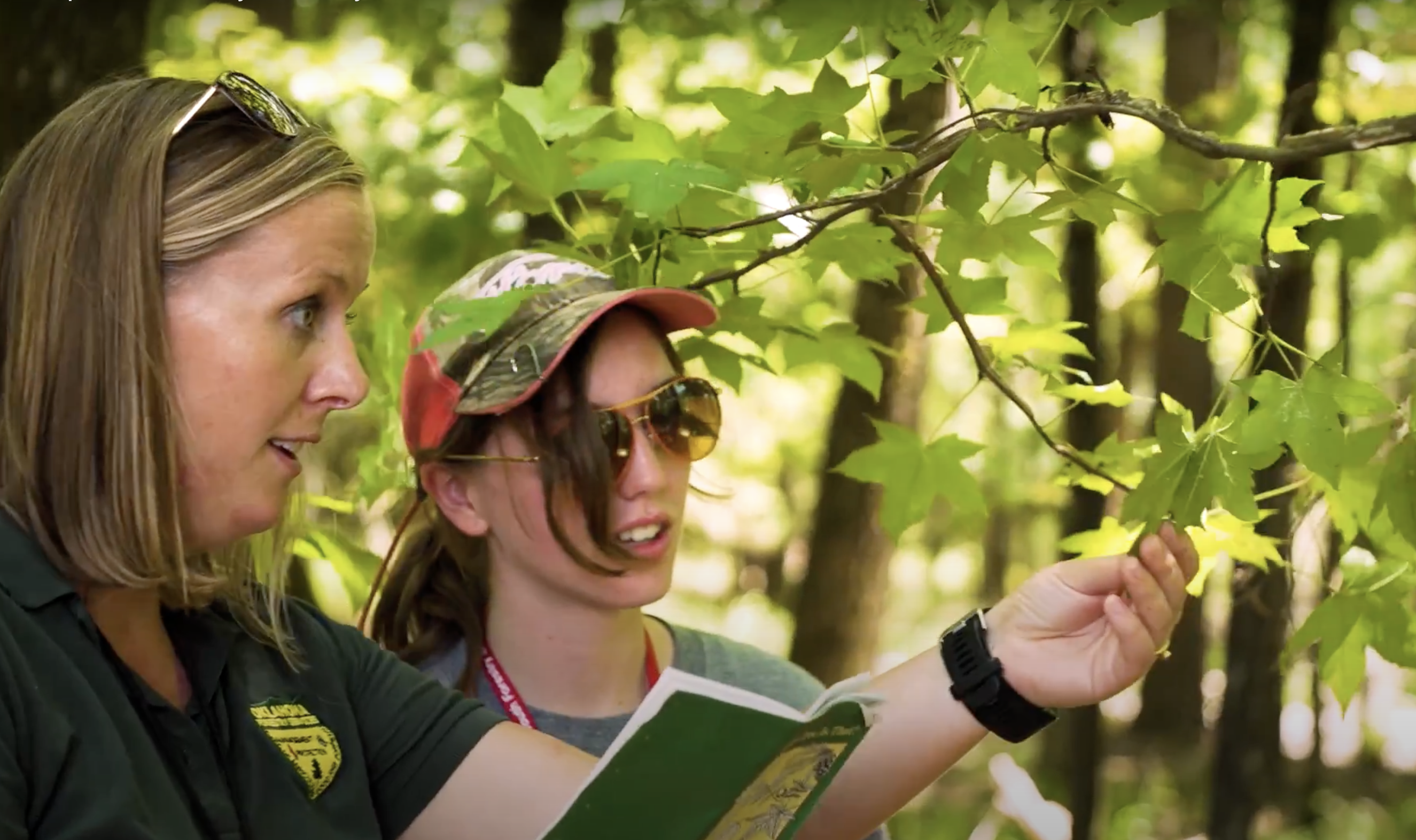 female outreach forester in the woods showing tree leaves to a youth