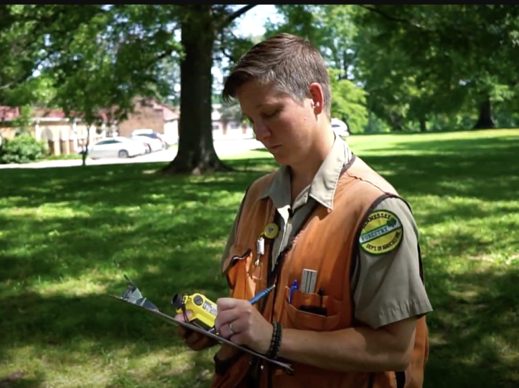 female forester with orange vest on, outdoors, writing on a clip board