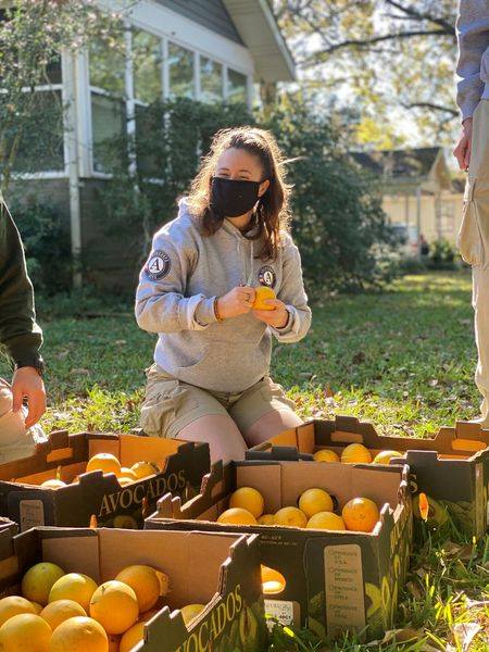 Investment in State & Private Forests - Southern Group of State Foresters