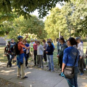 group of people being educated about trees in a park