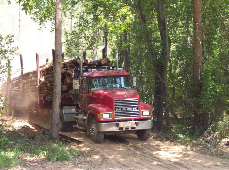 logging truck driving over a temporary bridge structure along a forest road