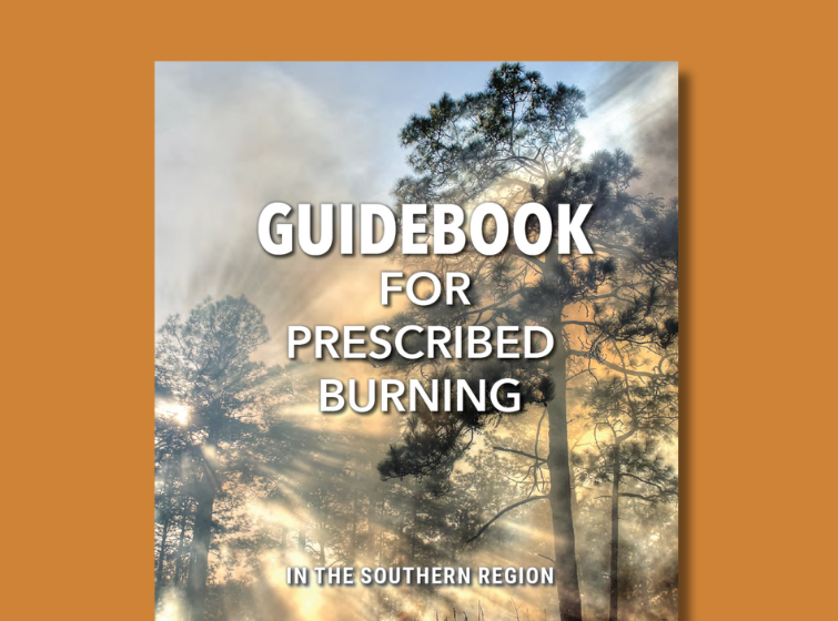 Image of the cover of the Guidebook for Prescribed Burning, against a solid orange background. The cover image includes a photo of a prescribed burn being conducted among pine trees. A slight haze of smoke lingers in the air.