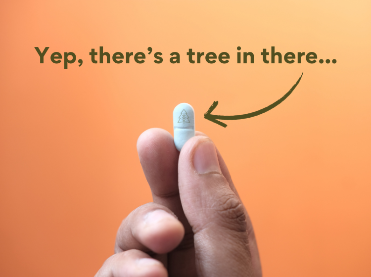 hand holding a single pill, with the message "yep, there's a tree in there.." with an arrow pointing to the pill