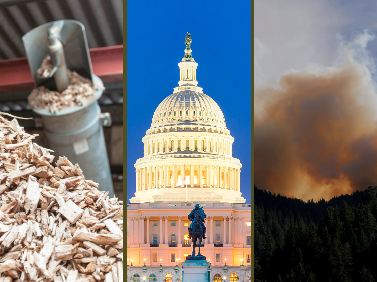 Trio of photos: pile of wood chips coming out of a machine, U.S. Capitol, forest hills with a substantial amount of smoke emanating in the background.