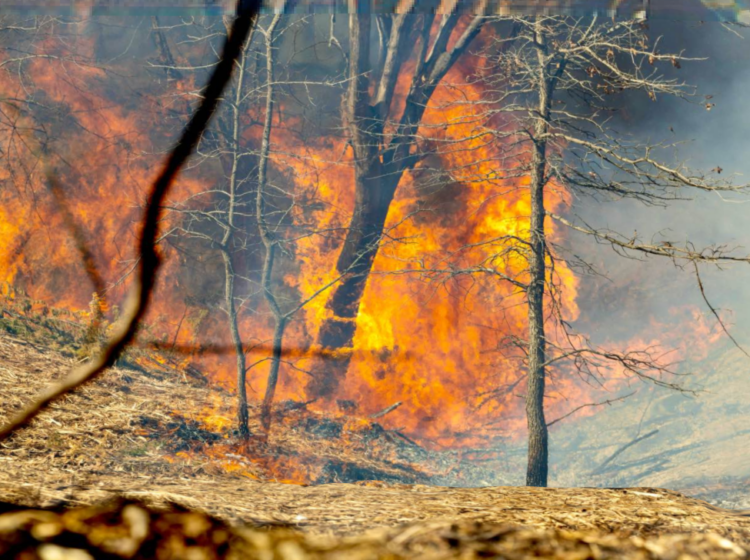 Wildfire flames in Oklahoma