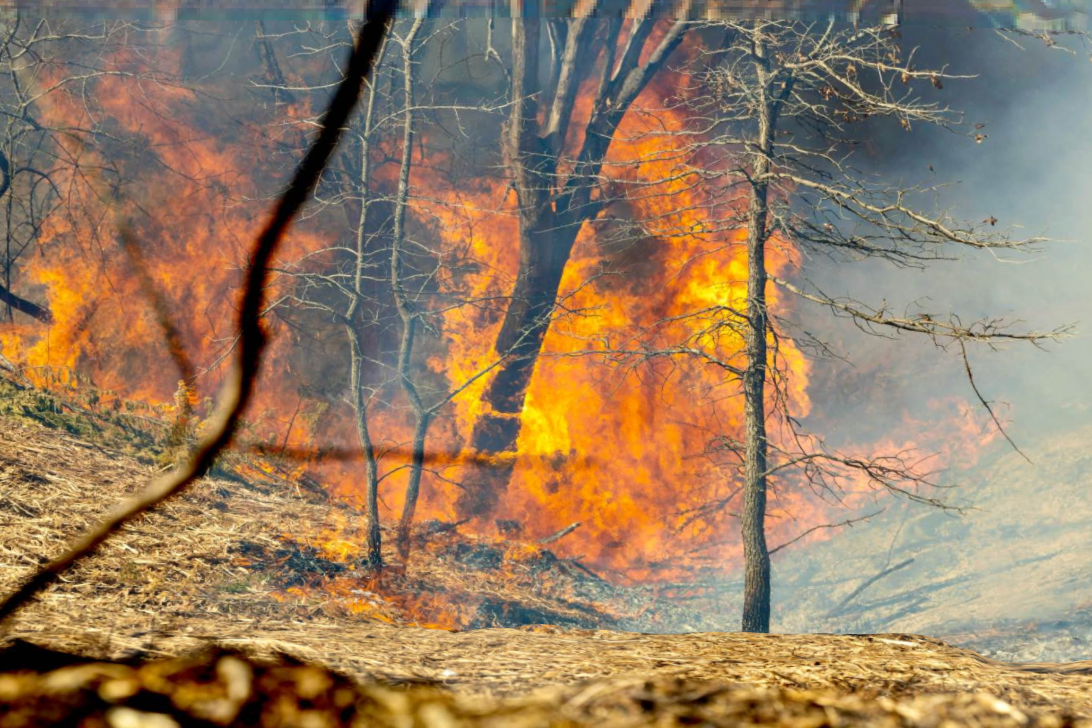 Wildfire flames in Oklahoma