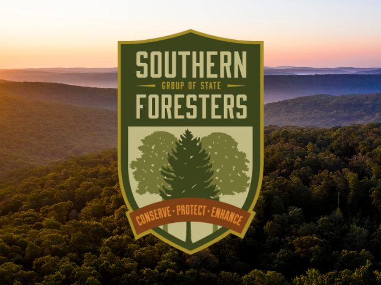 SGSF Logo with forest background