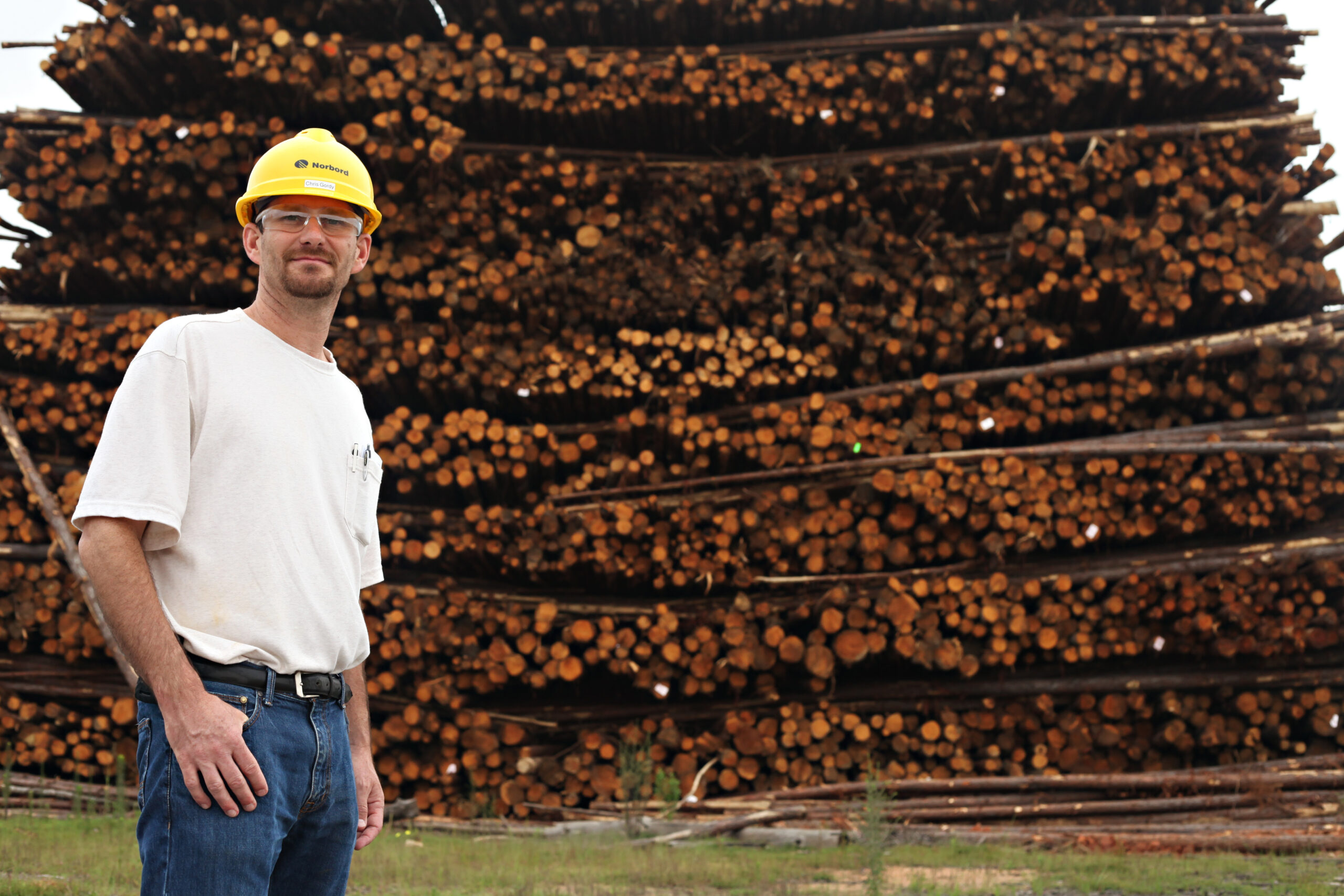 A worker in a yellow hard hat and safety glasses stands in front of a large stacked pile of cut logs at a timber yard.