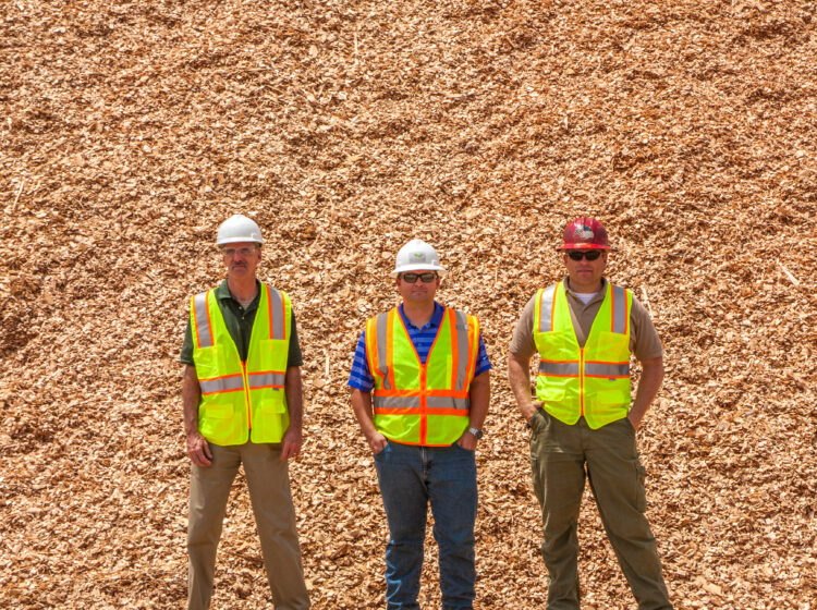 Three workers wearing hard hats and reflective safety vests stand in front of a large mound of wood chips.