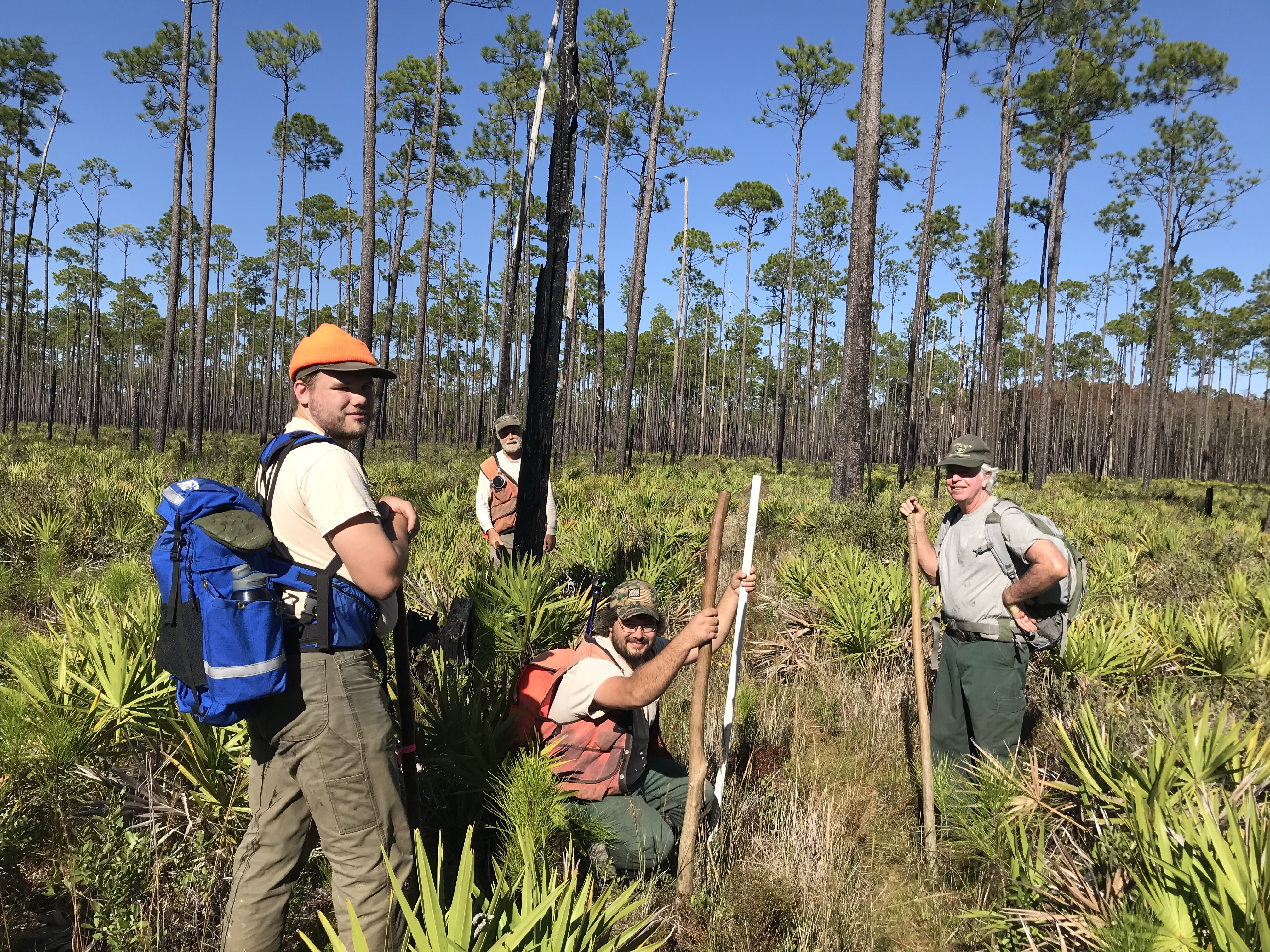 Group of four interagency FIA Foresters standing in a pine forest among palmettos. 