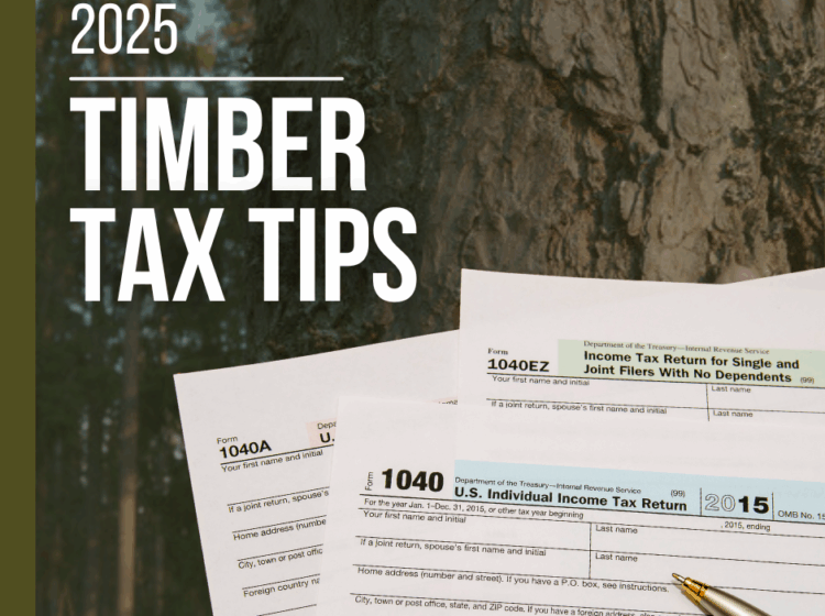 Graphic titled ‘2025 Timber Tax Tips’ with a close-up of a tree trunk in the background and overlapping U.S. IRS tax forms and a pen in the foreground.