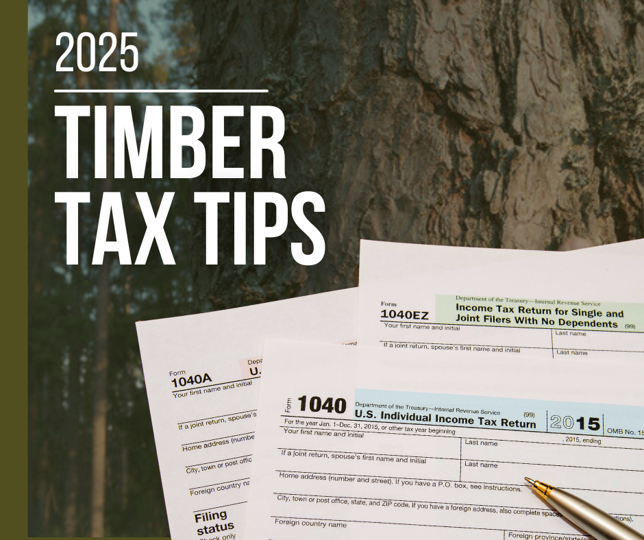 Graphic titled ‘2025 Timber Tax Tips’ with a close-up of a tree trunk in the background and overlapping U.S. IRS tax forms and a pen in the foreground.
