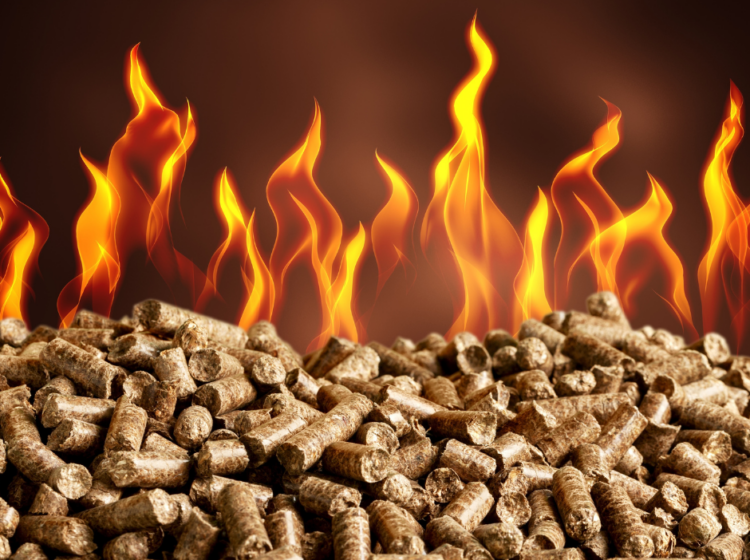 Close-up of a large pile of compressed wood pellets with bright orange flames rising above them against a dark background. The image symbolizes woody biomass as a renewable energy source and its role in producing renewable fuels.