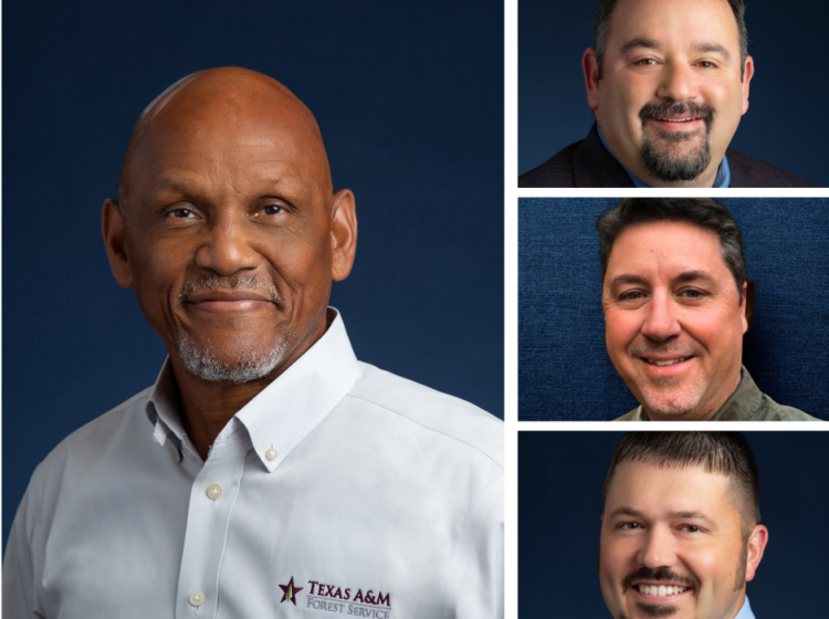 Collage of four headshots featuring the Southern Group of State Foresters’ 2026–27 Executive Committee leadership. Al Davis of the Texas A&M Forest Service is pictured prominently on the left, with three additional committee members pictured vertically on the right.